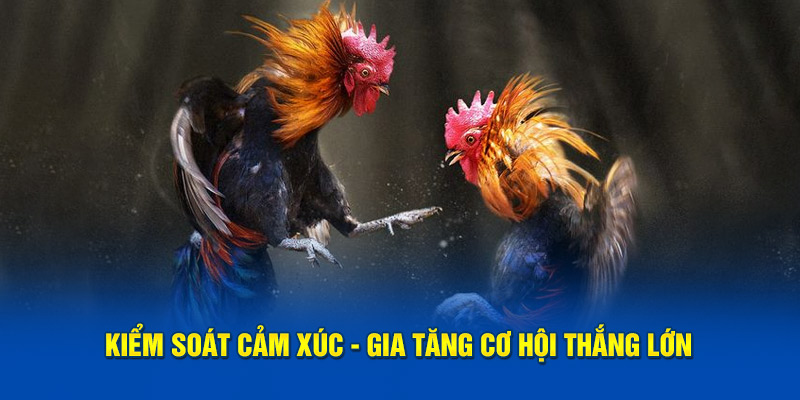 Kiểm soát cảm xúc - Gia tăng cơ hội thắng lớn