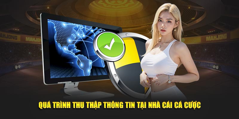 Quá trình thu thập thông tin tại nhà cái cá cược